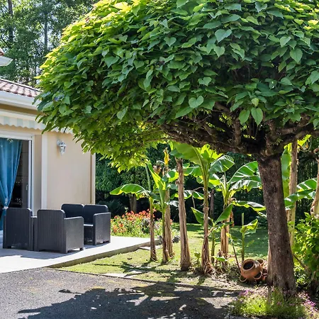 Jolie Maison Bassin Park/wifi * 乐泰赫